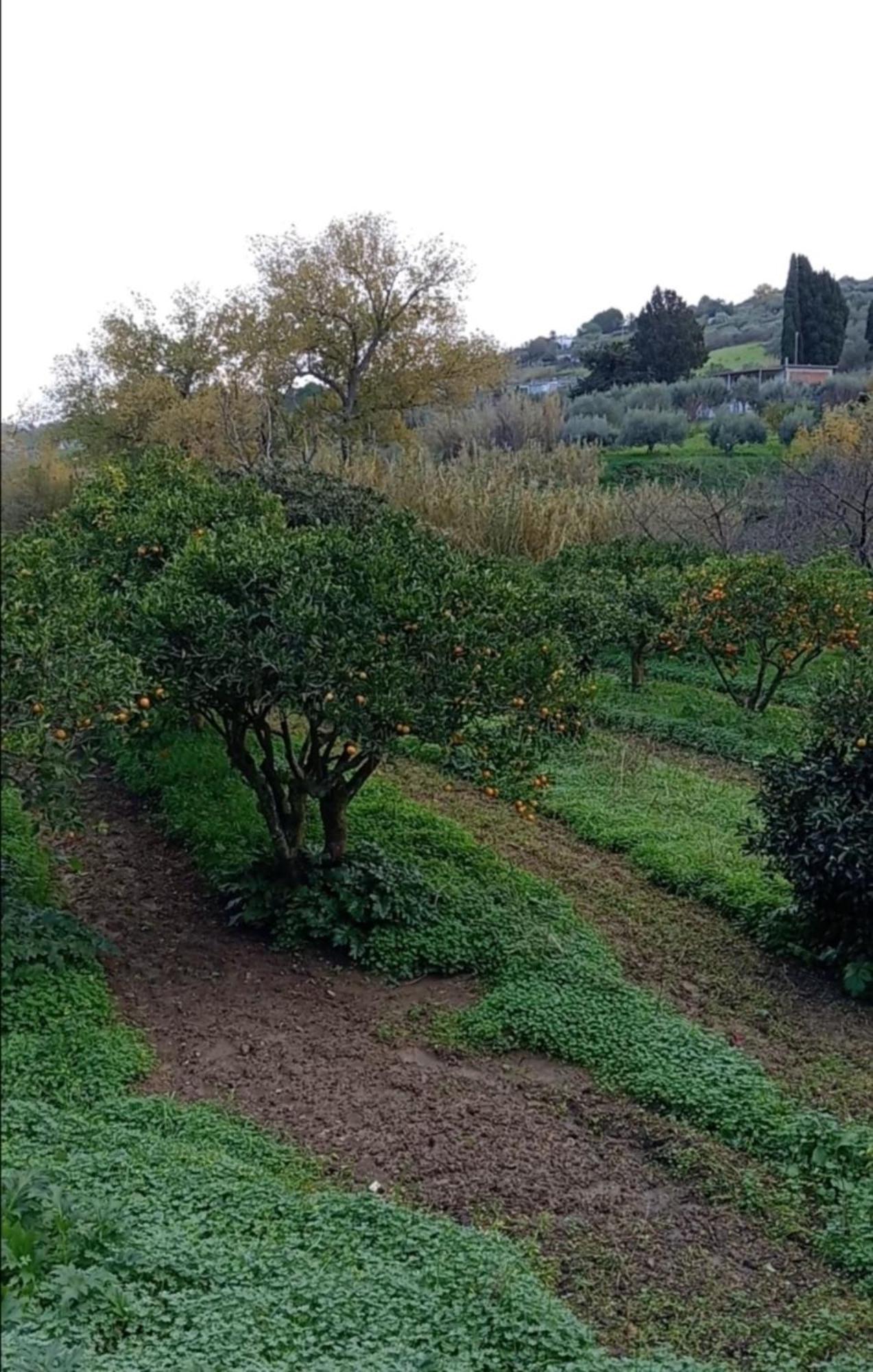 Vila Casa Gelferraro Calatafimi Exteriér fotografie